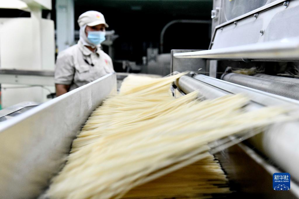 永利网注册娱